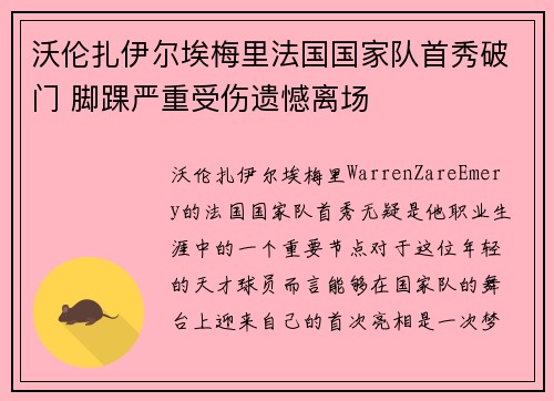 沃伦扎伊尔埃梅里法国国家队首秀破门 脚踝严重受伤遗憾离场